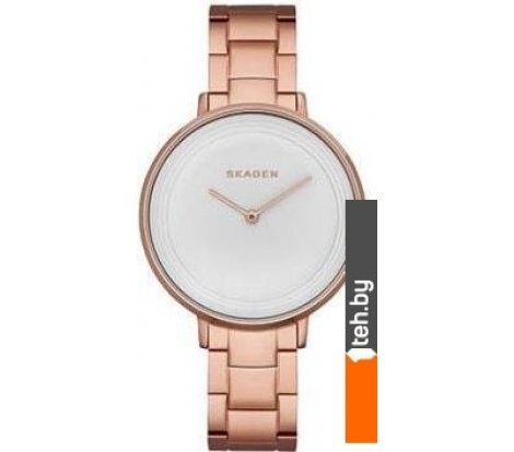 - Наручные часы Skagen SKW2331 - SKW2331