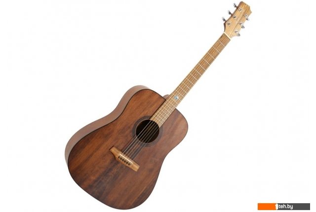 Гитары Randon RGI-10VT