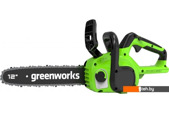Цепные электро- и бензопилы Greenworks GD24CS30 (без АКБ) Цепные электро- и бензопилы Greenworks GD24CS30 (без АКБ)