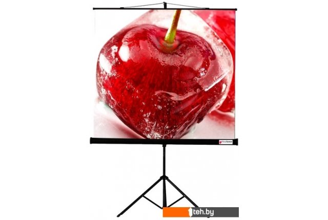 Проекционные экраны ViewScreen Clamp 160x160 Проекционные экраны ViewScreen Clamp 160x160