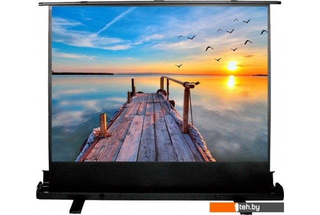 Проекционные экраны CACTUS FloorExpert 113x200 CS-PSFLE-200X113 Проекционные экраны CACTUS FloorExpert 113x200 CS-PSFLE-200X113