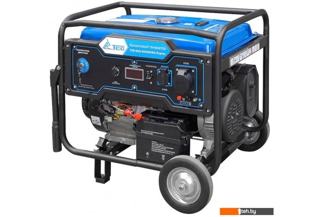 Генераторы ТСС SGG 6000EHNA Duplex Генераторы ТСС SGG 6000EHNA Duplex