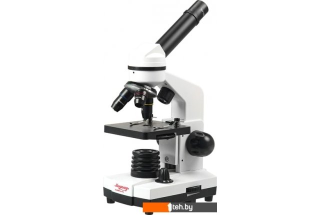 Игры-опыты, эксперименты Микромед Атом 40x-800x в кейсе 25655 Игры-опыты, эксперименты Микромед Атом 40x-800x в кейсе 25655