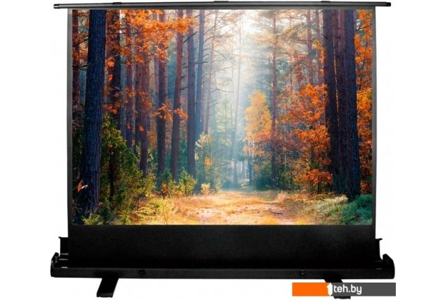 Проекционные экраны CACTUS FloorExpert 120x160 CS-PSFLE-160X120 Проекционные экраны CACTUS FloorExpert 120x160 CS-PSFLE-160X120