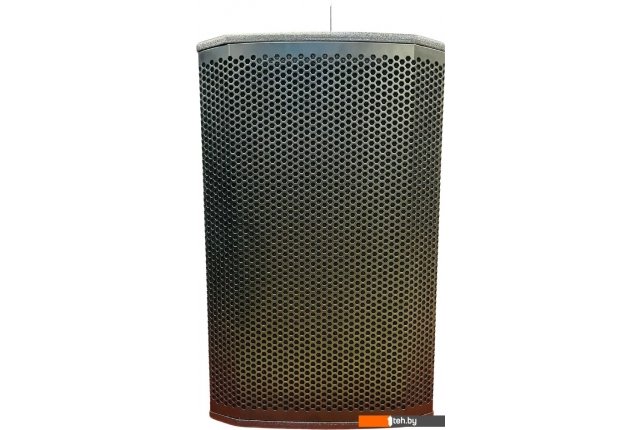 Концертная акустика Acury DS15W Концертная акустика Acury DS15W