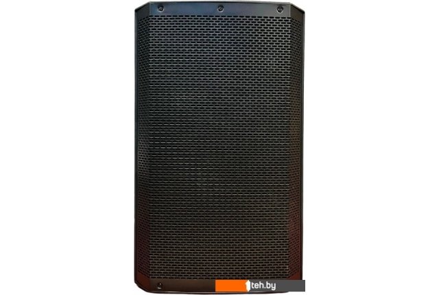 Концертная акустика Acury DS10 Концертная акустика Acury DS10