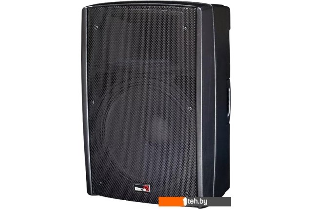 Концертная акустика Biema B2-110 Power Концертная акустика Biema B2-110 Power