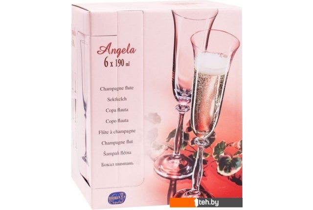 Стаканы, бокалы, рюмки Bohemia Crystal Angela 40600/190 Стаканы, бокалы, рюмки Bohemia Crystal Angela 40600/190