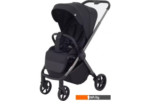 Детские коляски и аксессуары Rant Golf RA101 (black) Детские коляски и аксессуары Rant Golf RA101 (black)