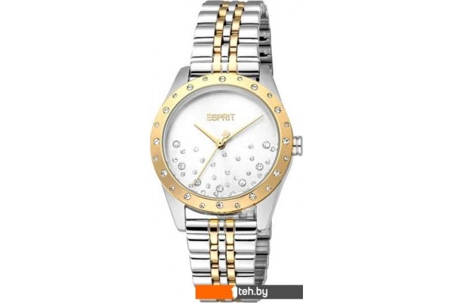 Наручные часы Esprit ES1L405M0065 Наручные часы Esprit ES1L405M0065