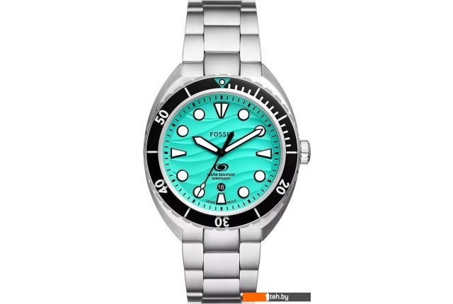 Наручные часы Fossil FS6066 Наручные часы Fossil FS6066