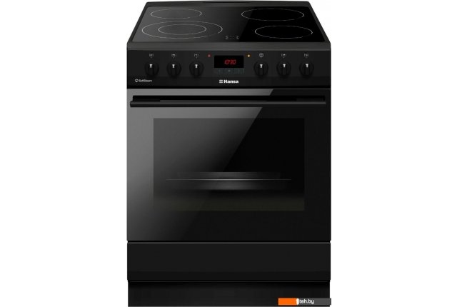 Кухонные плиты Hansa FCCM69225H Кухонные плиты Hansa FCCM69225H